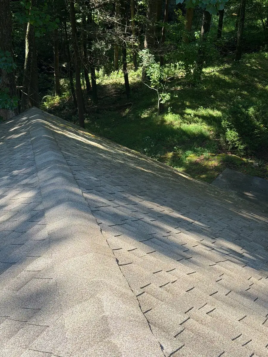 Moss and algae along an asphalt shingle roof ridge in Blowing Rock