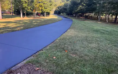 Sealed asphalt driveway curving through lawn