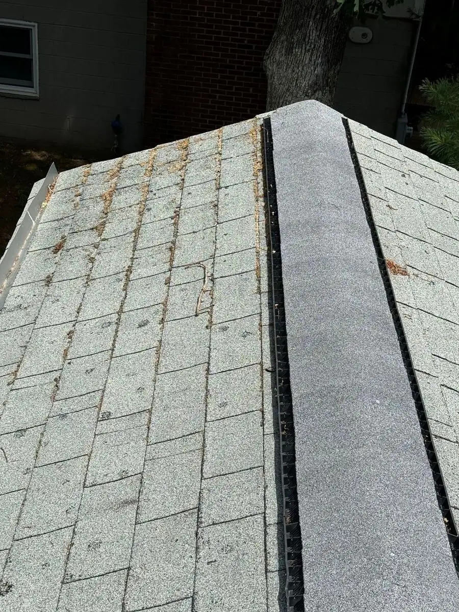 Shingle roof with moss and debris